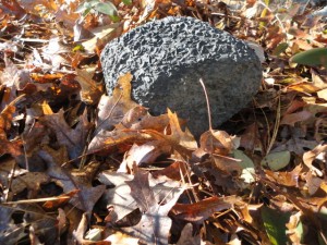 Mystery meteorite